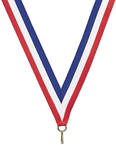 Express Medals Various Styles 1 to 50 Pack Silver or Bronze Color Spelling Bee Medals Trophy Award with Neck Ribbon Medal Trophies Gift Prize Tournament Champion Team