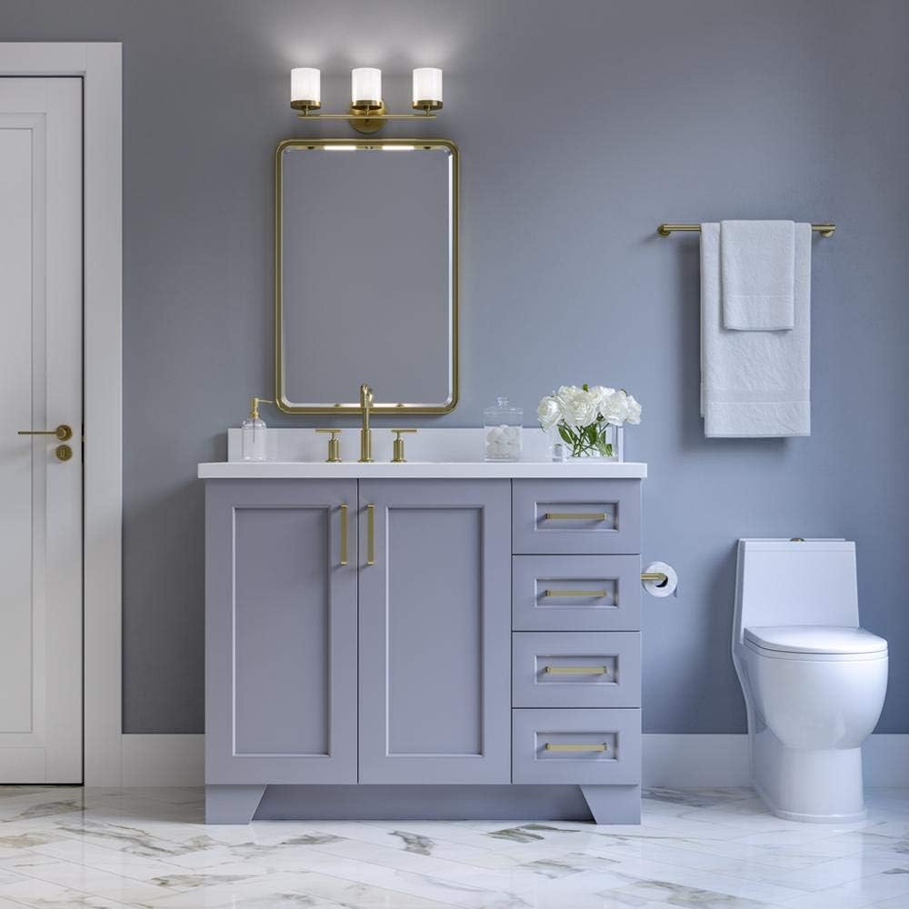 ARIEL Taylor 42-inch Bathroom Vanity with Sink,Solid Wood, 1.5-inch Pure White Quartz Countertop & Backsplash, Single Oval Porcelain Sink, 2 Soft Closing Doors, 5 Dovetail Drawers, Grey