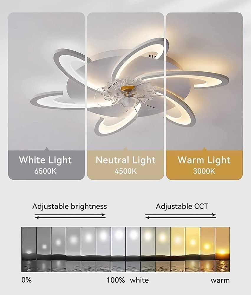 Nordic Black Ceiling Fan Light with Remote Control Silent Ceiling Fan with Lights DC Motor 6-Speed Dimmable Ultra Thin Ceiling Fan Lamp for Bedroom Lounge Kitchen LED Boy Girl