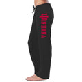 Women's Indiana Hoosiers Sweat Pants L Black Sport Pants