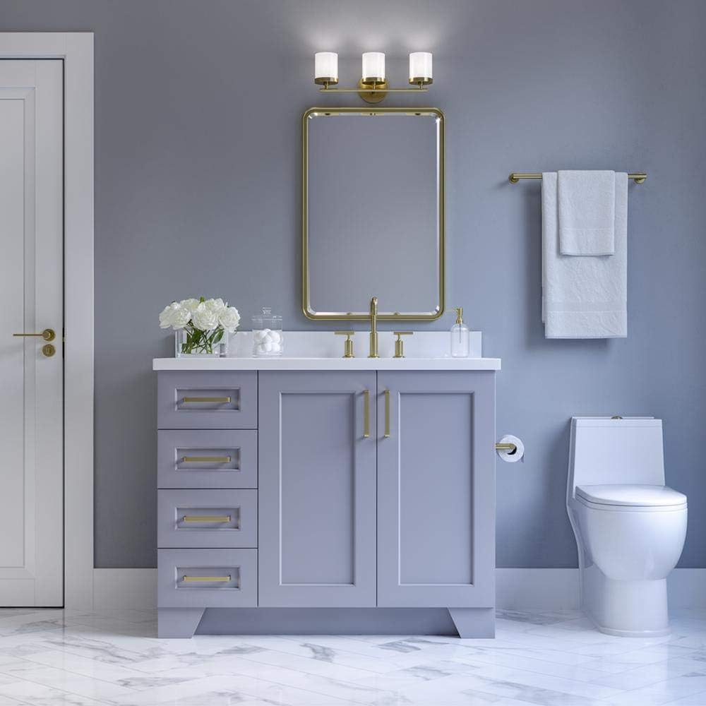 ARIEL Taylor 42-inch Bathroom Vanity with Sink,Solid Wood, 1.5-inch Pure White Quartz Countertop & Backsplash, Single Rectangular Sink, 2 Soft Closing Doors, 5 Dovetail Drawers, Grey