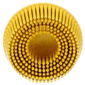 3M Scotch-Brite Roloc Bristle Disc - Coating Removal Disc for Metal - 80 Grit Ceramic - Roloc Attachment - Molded Bristles - 2' x 5/8', (Pack of 10)