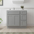 Vanity Art 36' Unassembled Bathroom Vanity with 2-Door 3-Drawer, Wood Bathroom Vanity Cabinet with Soft Closing Shaker Drawer, Sturdy Floor Mounted Cabinet Without Top VA4036-3S-G
