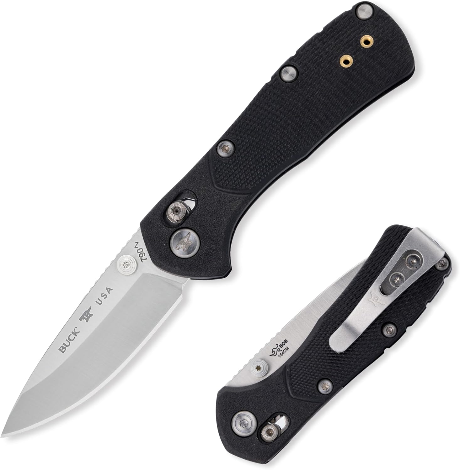 Buck Knives 790 Mini Range Pro Folding Pocket Knife, EDC Knife, 2-5/8' Drop Point Blade, 154CM Stainless Steel, Lightweight Glass-Filled Nylon Handle, Made in the USA, Black, 1.9 oz